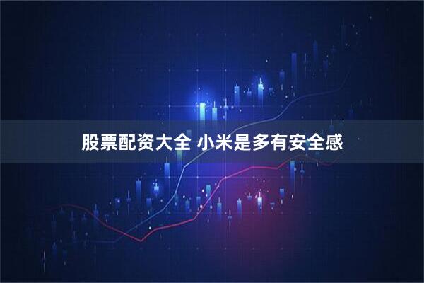 股票配资大全 小米是多有安全感